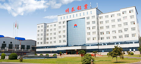 小蝌蚪免费观看视频播放铝业公司介绍